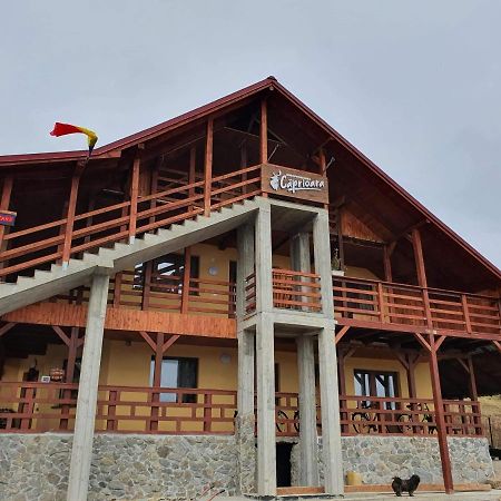 Agropensiunea Caprioara Mintia Buitenkant foto