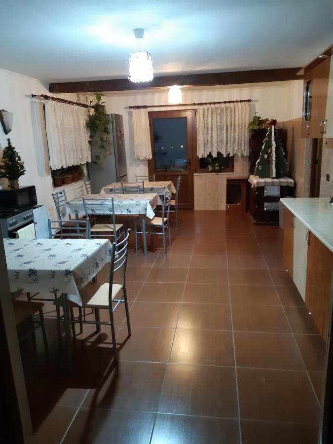 Agropensiunea Caprioara Mintia Buitenkant foto